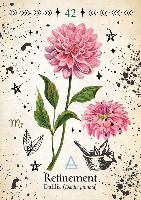 Simon & Schuster - Green Witch Oracle Cards by Cheralyn Darcey: Flashcards; 144 pages / English - Eventide Botanical Wellness