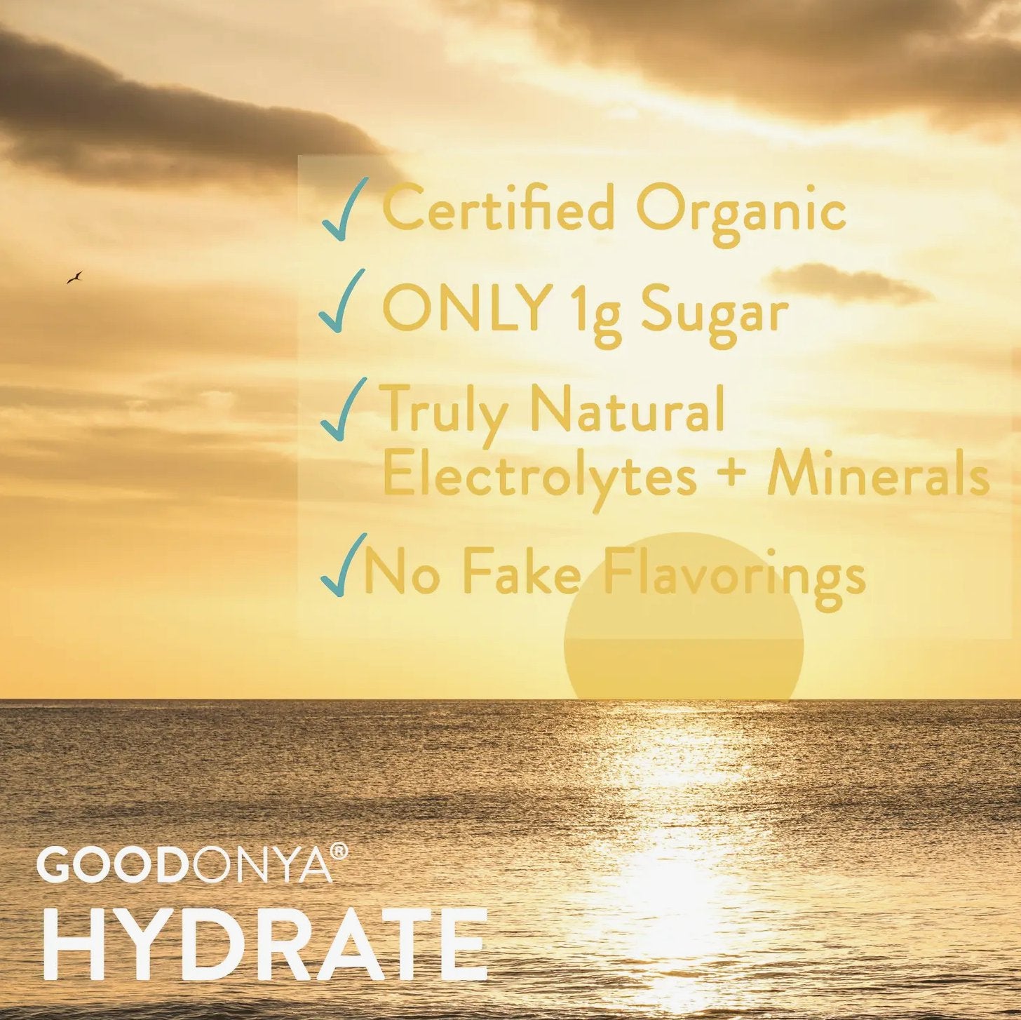 GOODONYA - GOODONYA HYDRATE • Stick Packs - Eventide Botanical Wellness