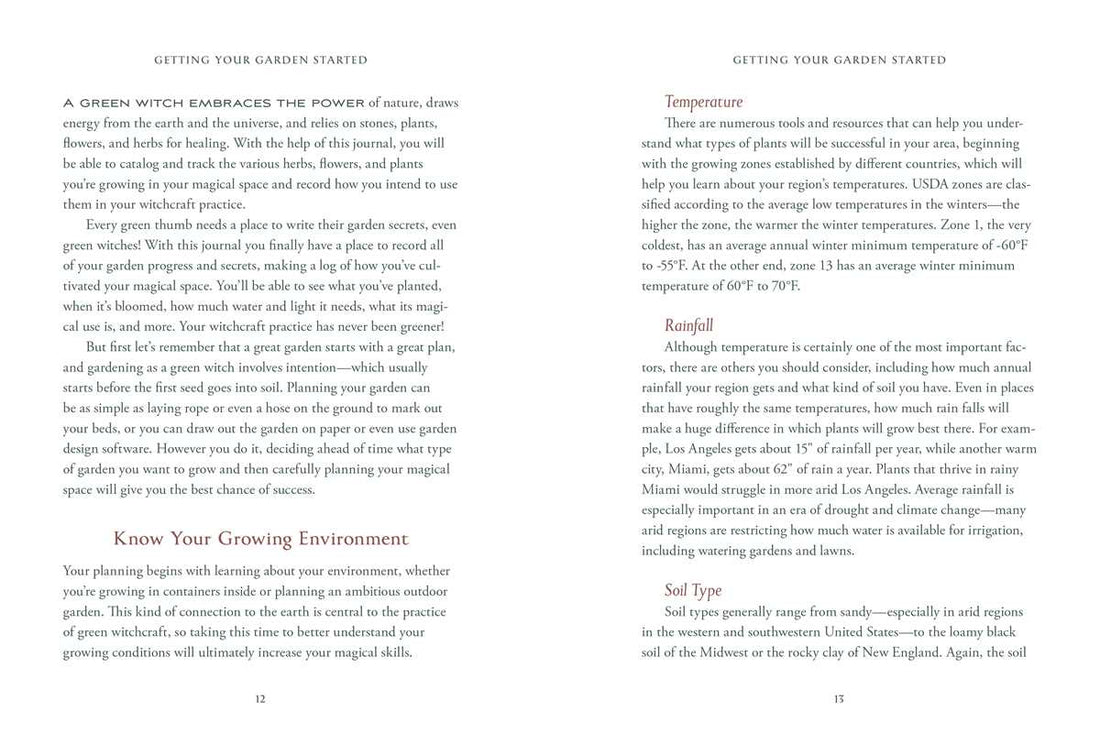 Simon &amp; Schuster - Green Witch&