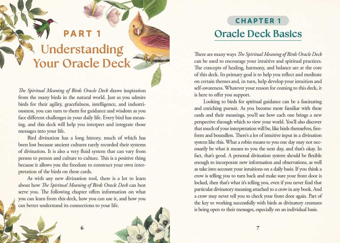 Simon &amp; Schuster - Spiritual Meaning of Birds Oracle Deck by Arin Murphy - Hiscock: Flashcards; 50 pages / English - Eventide Botanical Wellness