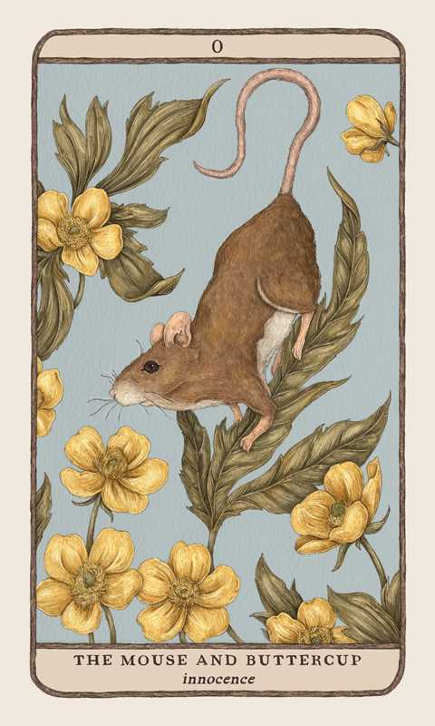 Simon &amp; Schuster - Woodland Wardens by Jessica Roux: Mixed Media; 52 pages / English - Eventide Botanical Wellness