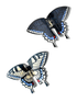 Solar Eclipse - Hand - Painted Swallowtail Butterfly Claw Hair Clip: Navy - Eventide Botanical Wellness